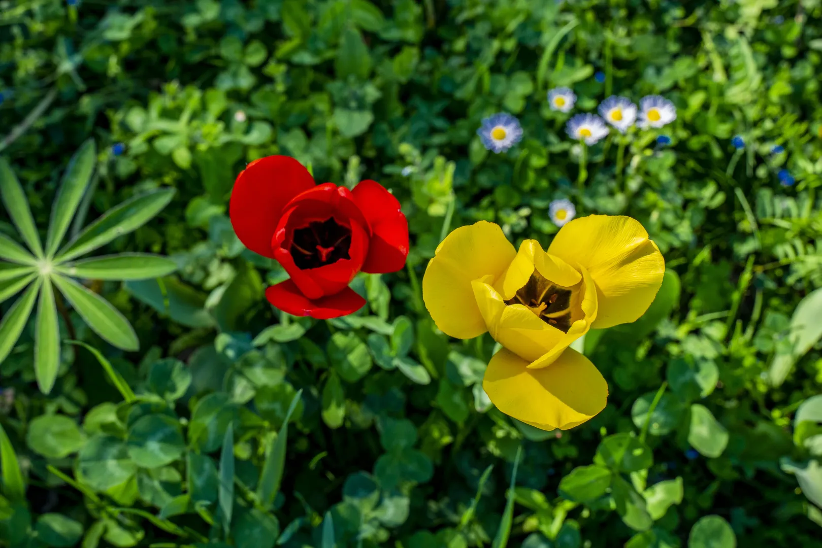 Perinatal Couples Therapy